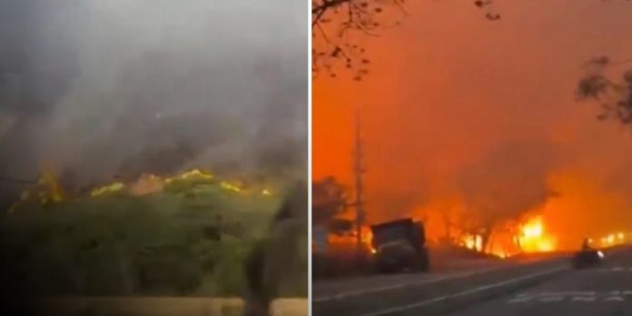 Foto:Más de 20.000 hectáreas afectadas por incendios forestales en Tolima/cortesia Foto:Más de 20.000 hectáreas afectadas por incendios forestales en Tolima/cortesia