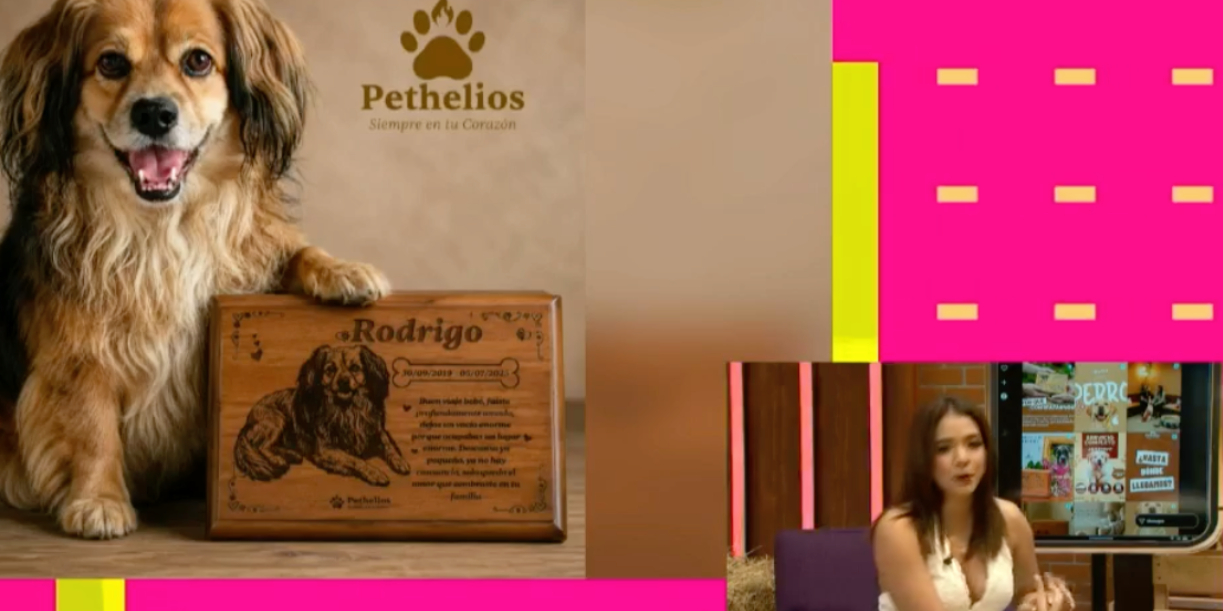 Foto: Entrevista en Mañaneros sobre Pethelios, cremación de mascotas