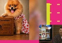¿Sabías que desde Nicaragua se puede cremar a tus mascotas? Foto: Entrevista en Mañaneros sobre Pethelios, cremación de mascotas