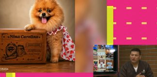 Foto: Entrevista en Mañaneros sobre Pethelios, cremación de mascotas