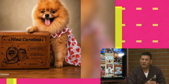 Foto: Entrevista en Mañaneros sobre Pethelios, cremación de mascotas Foto: Entrevista en Mañaneros sobre Pethelios, cremación de mascotas
