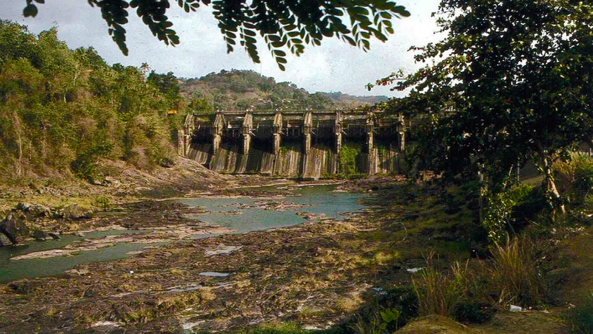 Foto: Puerto Rico declara estado de emergencia por sequía/ Cortesía