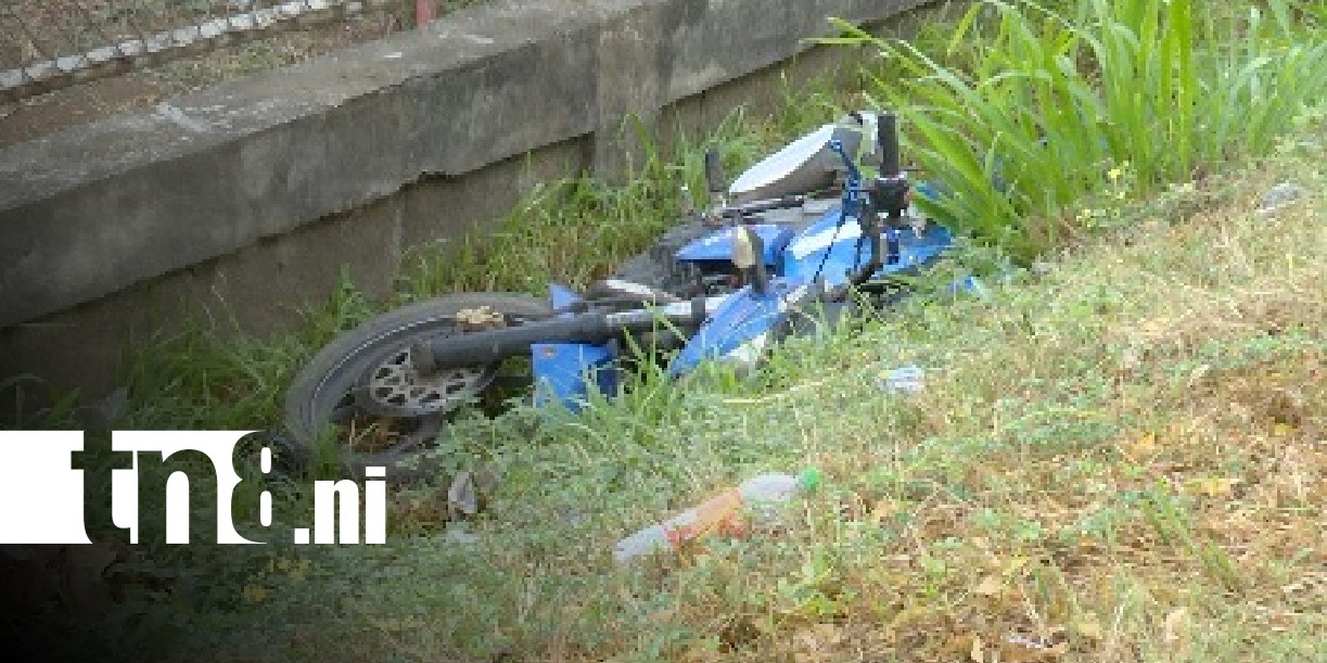 Foto: Otra vida que se esfuma en la Carretera Nueva a León / TN8