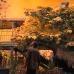 Netflix pone fecha al gran final de ‘Cien años de soledad’ y la historia de Macondo Foto: Netflix: ‘Cien años de soledad’ llega a su final/Cortesía