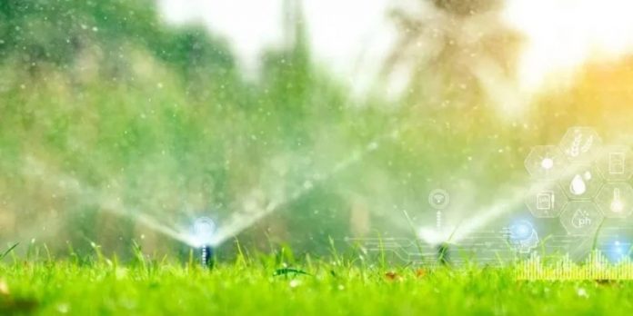 Foto: Irán prepara un sistema para determinar cuánta agua puede utilizar cada agricultor/Cortesía