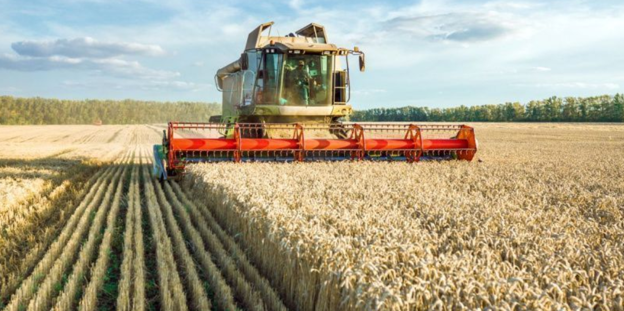 Foto: Rusia aumenta exportaciones a África/Cortesía