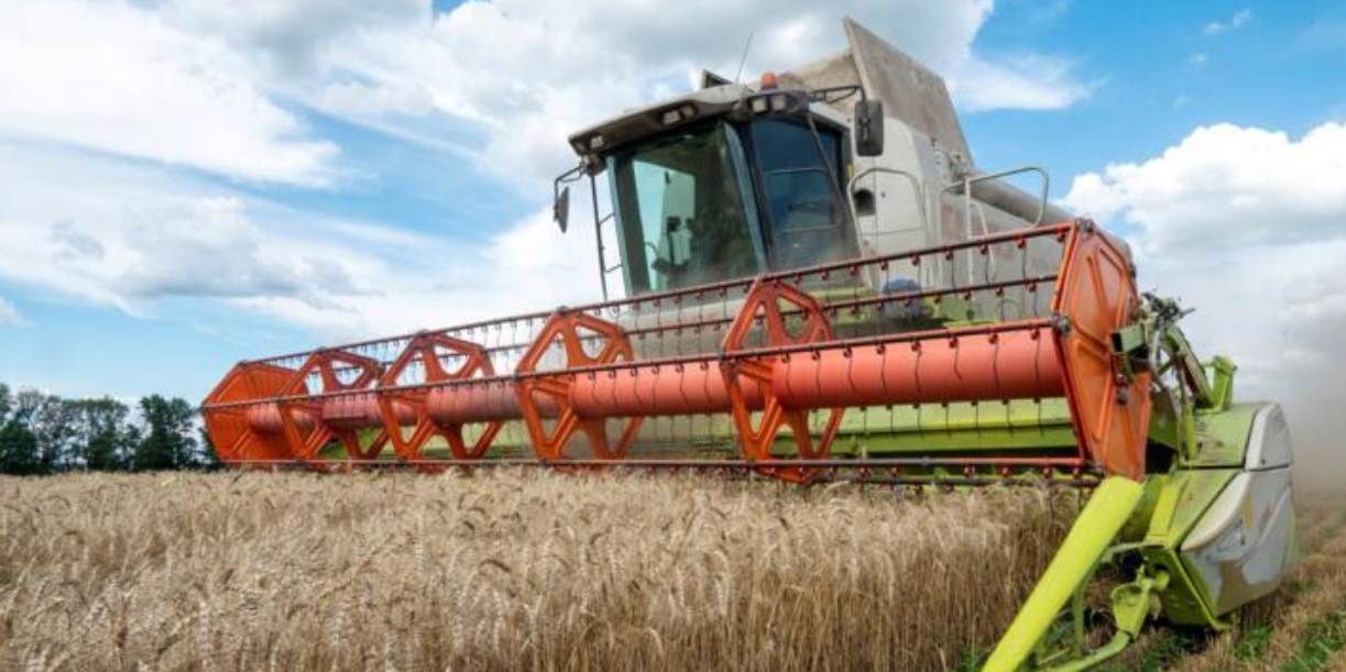Foto: Rusia aumenta exportaciones a África/Cortesía
