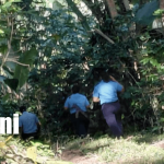 Foto: Lo ultimaron a machetazos en El Jícaro, Nueva Segovia /TN8