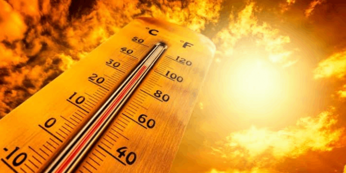 Foto: España registra récord de muertes por calor /Cortesía