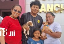 Carazo inicia jornada de vacunación antirrábica para 57 mil perros Foto: Vacunación antirrábica protegerá a 57 mil perros en Carazo /TN8