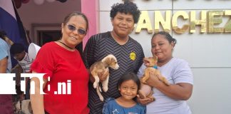 Foto: Vacunación antirrábica protegerá a 57 mil perros en Carazo /TN8
