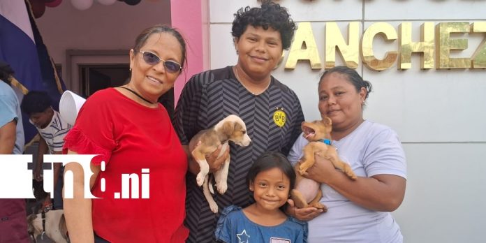Foto: Vacunación antirrábica protegerá a 57 mil perros en Carazo /TN8