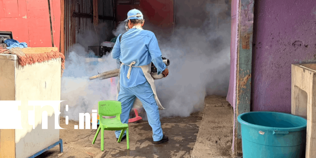 Foto: Barrio Ariel Darce fortalece prevención contra dengue /TN8