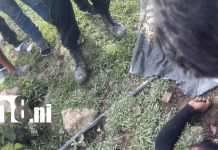 Masacre en cumpleaños: Ataque armado deja padre e hijo muertos en Wiwilí Foto: Ataque a balazos durante cumpleaños enluta a una familia en Wiwilí /TN8