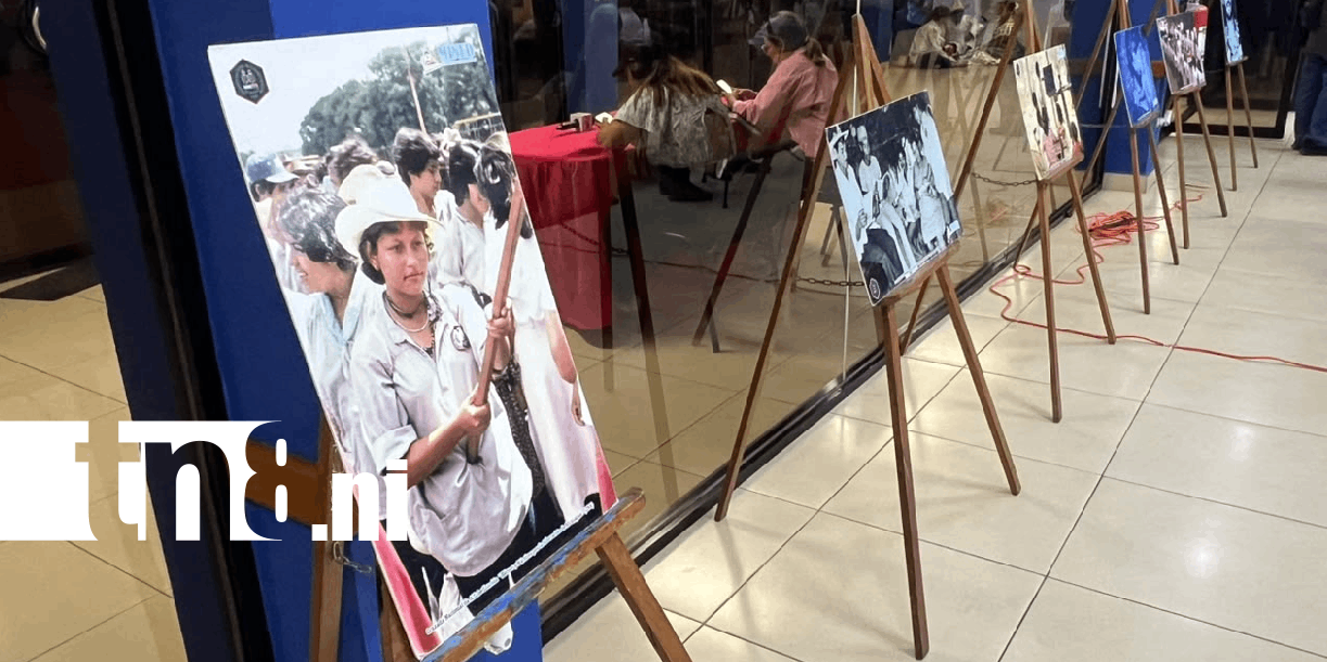 Foto: Docentes fortalecerán sus conocimientos en Historia e Identidad /TN8