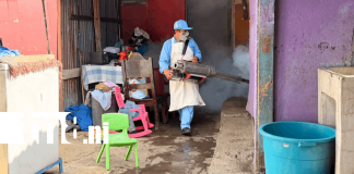 Foto: Barrio Ariel Darce fortalece prevención contra dengue /TN8