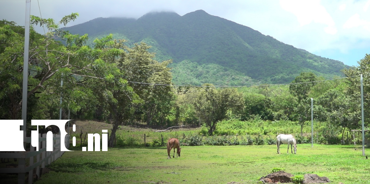 Foto: Ometepe se alista para las vacaciones patrias /TN8