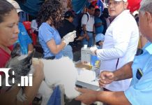 Vacunación antirrábica canina llegará a barrios y comunidades de toda Nicaragua Foto: Vacunación antirrábica en mascotas de Managua / TN8
