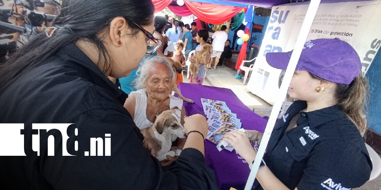 Foto: Vacunación antirrábica en mascotas de Managua / TN8