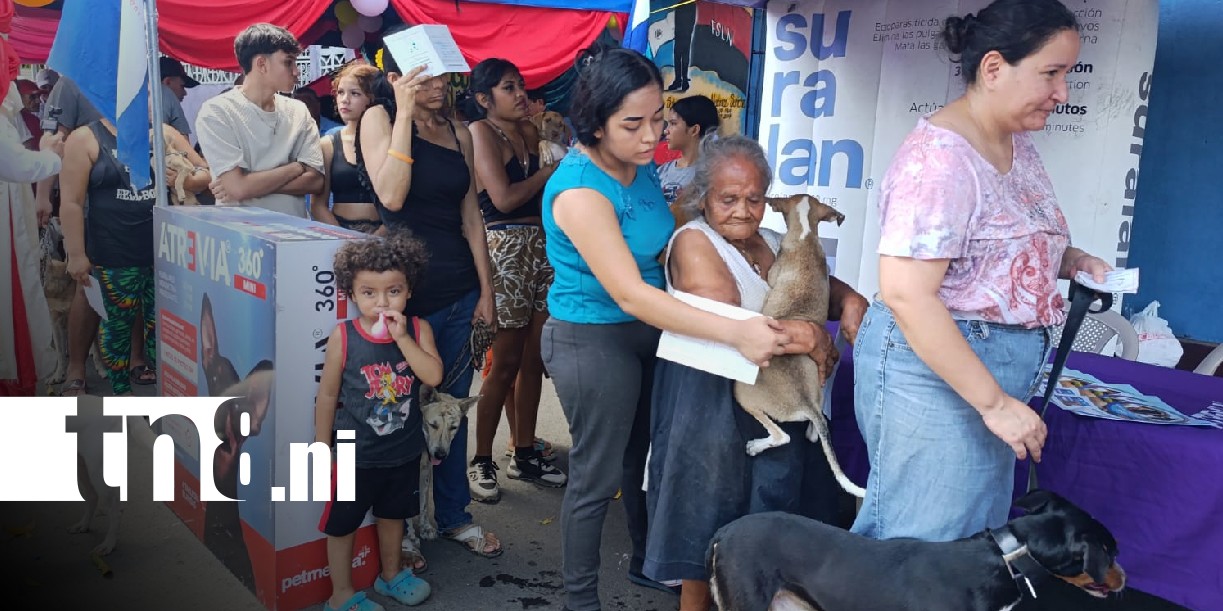 Foto: Vacunación antirrábica en mascotas de Managua / TN8