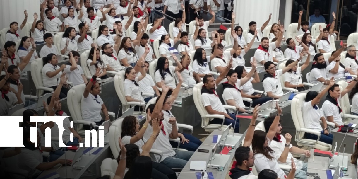 Foto: Juventud Sandinista respalda reformas parciales a a Constitución Política de Nicaragua / TN8