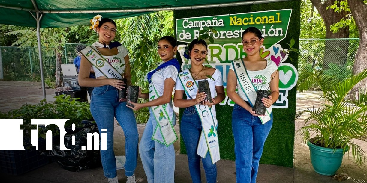 Foto: Entrega de ejemplares de madroño en Managua / TN8