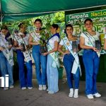 Managua adopta al madroño para darle la bienvenida al mes patrio Foto: Entrega de ejemplares de madroño en Managua / TN8