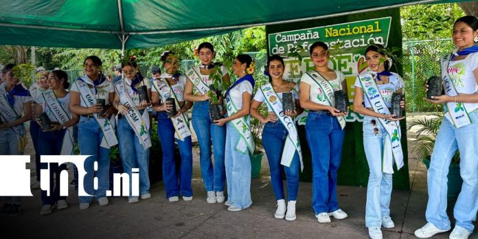 Foto: Entrega de ejemplares de madroño en Managua / TN8