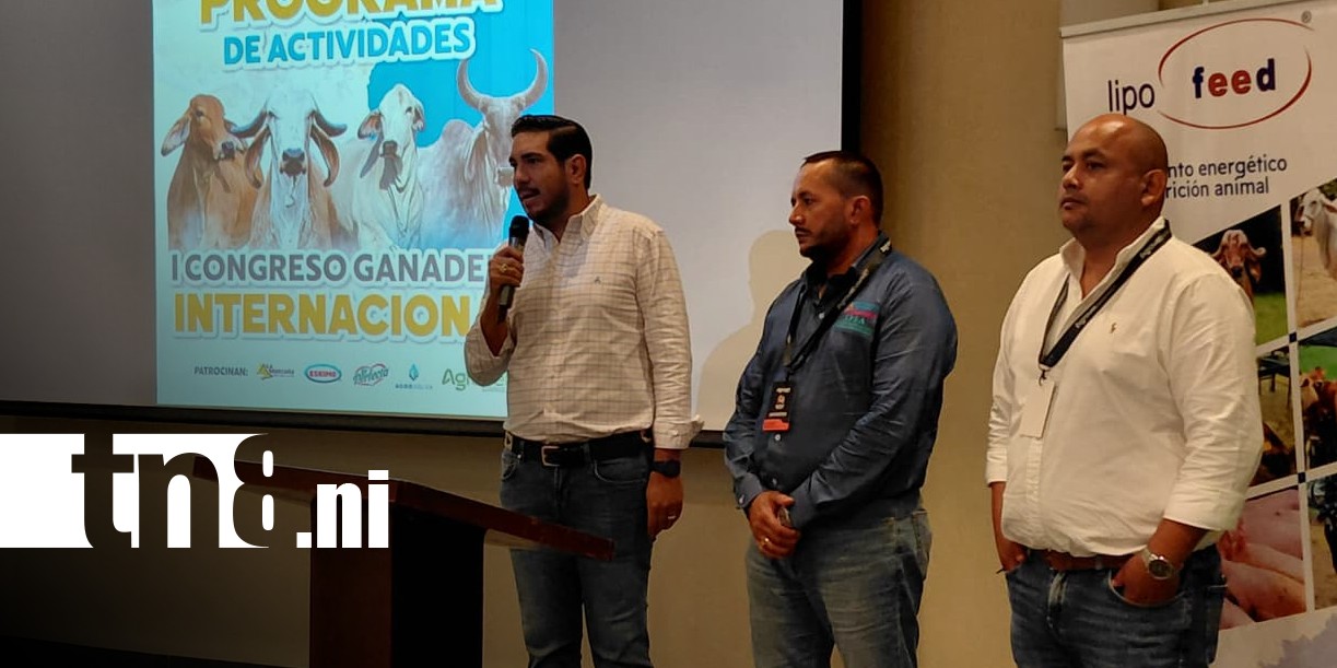 Foto: Congreso desde la Feria Ganadera / TN8