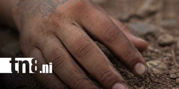 Foto: Hecho sangriento en Somotillo, Chinandega / TN8 Foto: Hecho sangriento en Somotillo, Chinandega / TN8