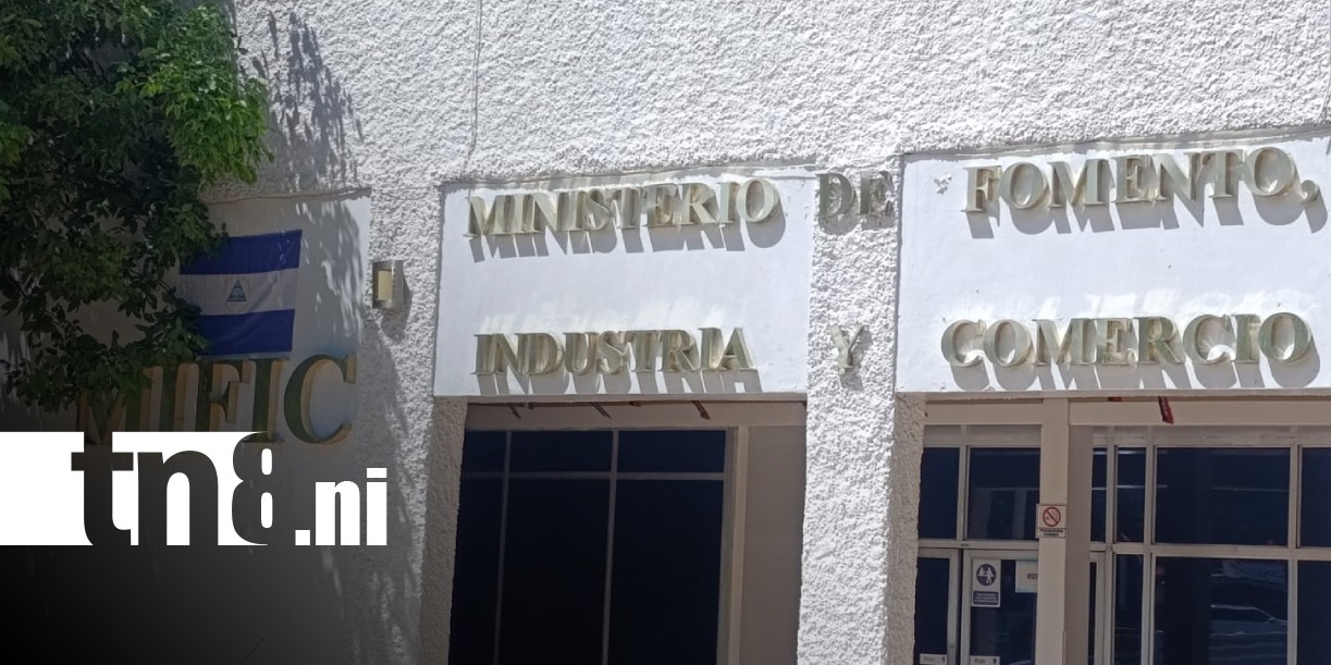 Foto: Monitoreo de productos de la canasta básica en Nicaragua / TN8