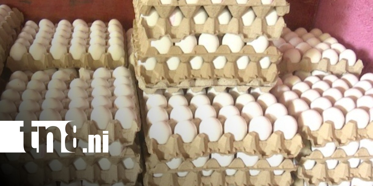 Foto: Monitoreo de productos de la canasta básica en Nicaragua / TN8