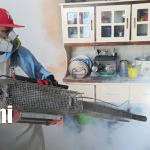 Acciones concretas contra el zancudo: MINSA intensifica trabajos en Managua Foto: Fumigación y abatización por Managua / TN8