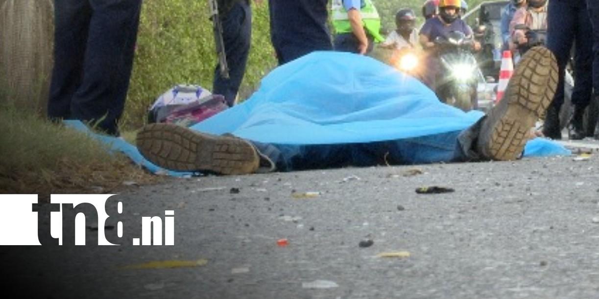 Foto: Otra vida que se esfuma en la Carretera Nueva a León / TN8
