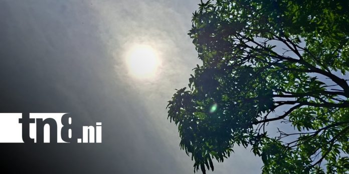 Foto: Calores persistirán en inicios de septiembre para Nicaragua / TN8 Foto: Calores persistirán en inicios de septiembre para Nicaragua / TN8