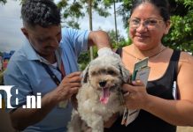 Masaya protege a sus mascotas con campaña de vacunación contra la rabia Foto: Vacunación contra la rabia en Masaya / TN8