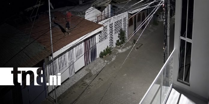 Foto: Capturan a ladrón de Ciudad Sandino / TN8 Foto: Capturan a ladrón de Ciudad Sandino / TN8