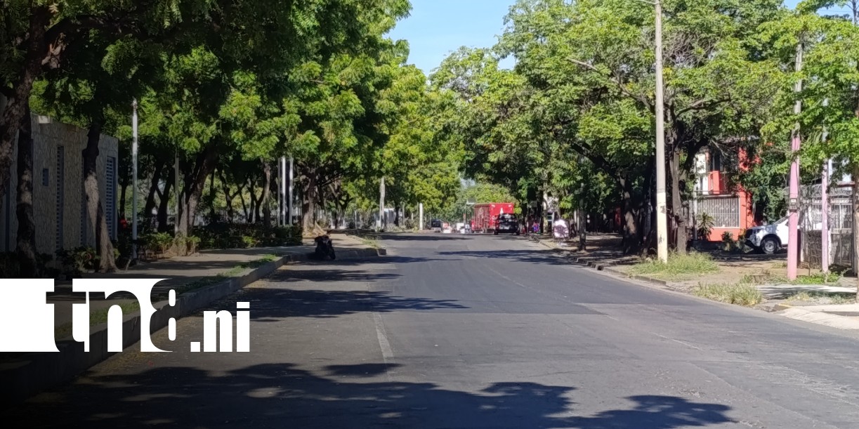 Foto: ¿Qué hacer ante un sismo en Nicaragua? / TN8