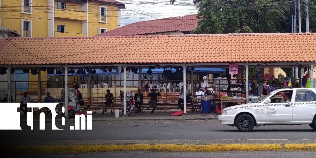 Foto: ¿Qué hacer ante un sismo en Nicaragua? / TN8