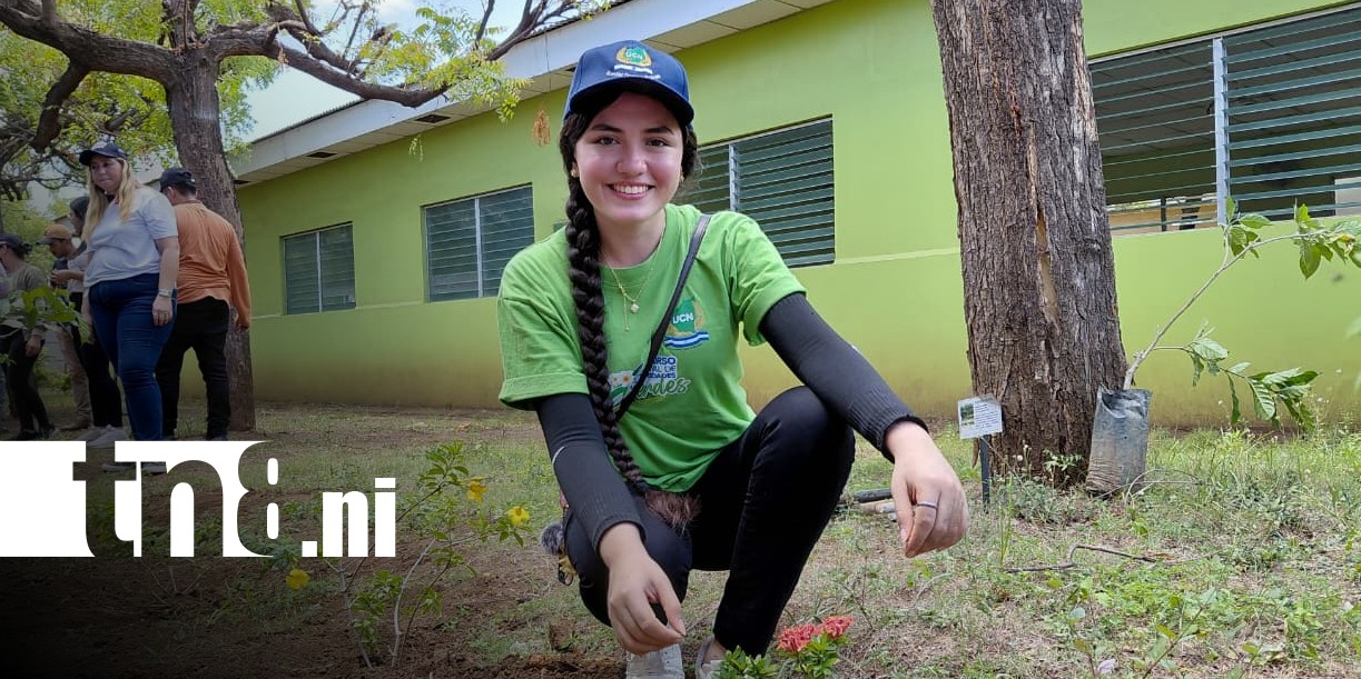 Foto: Jornada de reforestación desde la UCN / TN8