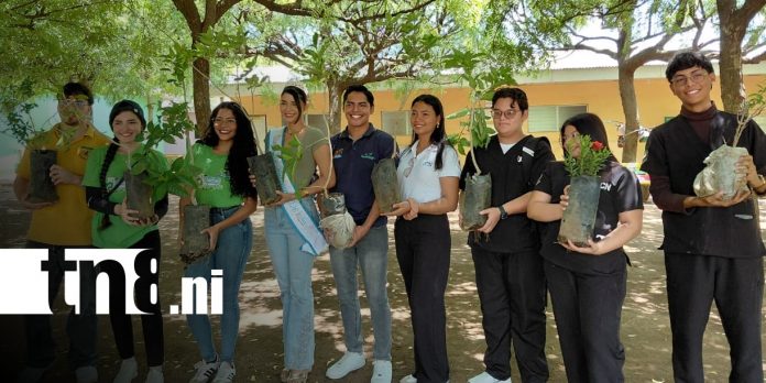 Foto: Jornada de reforestación desde la UCN / TN8