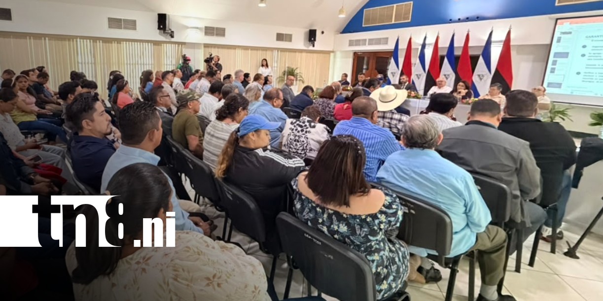 Foto: Consulta con sector de zonas francas en Nicaragua sobre reformas a la constitución / TN8