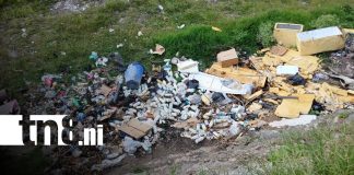 Foto: Delito ambiental en Jinotega / TN8
