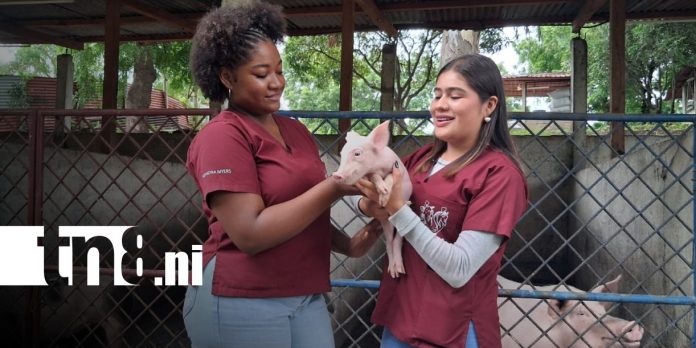 Foto: Universidades de Nicaragua fortalecen la formación veterinaria en encuentro interuniversitario / TN8