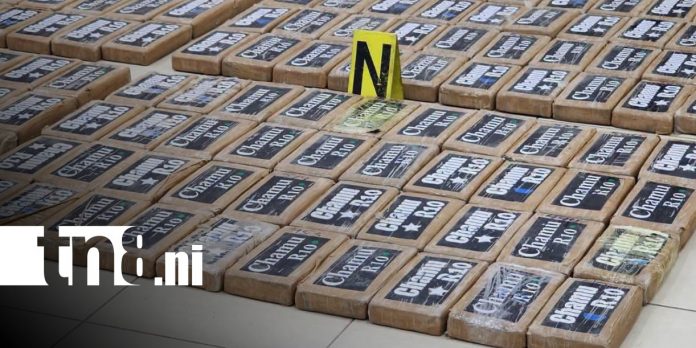 Foto: Incautación de cocaína en San Rafael del Sur / TN8 Foto: Incautación de cocaína en San Rafael del Sur / TN8
