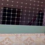 Triple asesinato de mujeres vuelve a poner en el foco la violencia feminicida en Honduras