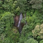 Foto: MARENA impulsa acciones para fortalecer la conservación ambiental en Nicaragua/Cortesía