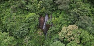 Foto: MARENA impulsa acciones para fortalecer la conservación ambiental en Nicaragua/Cortesía