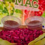 MAG presenta nueva variedad de frijol rojo “Vencedor” en Estelí Foto: MAG presenta variedad de frijol resistente a sequía y plagas/Cortesía