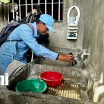 ¡Manos a la obra contra el dengue! brigadas interviene viviendas en Managua Foto: Brigadas de Salud fumigan 600 viviendas para prevenir enfermedades en Managua/TN8